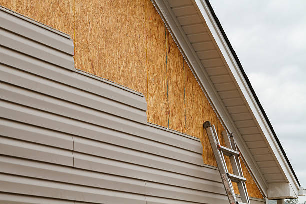 Professional Siding Repair technician working in Jamestown, PA